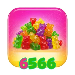 6566